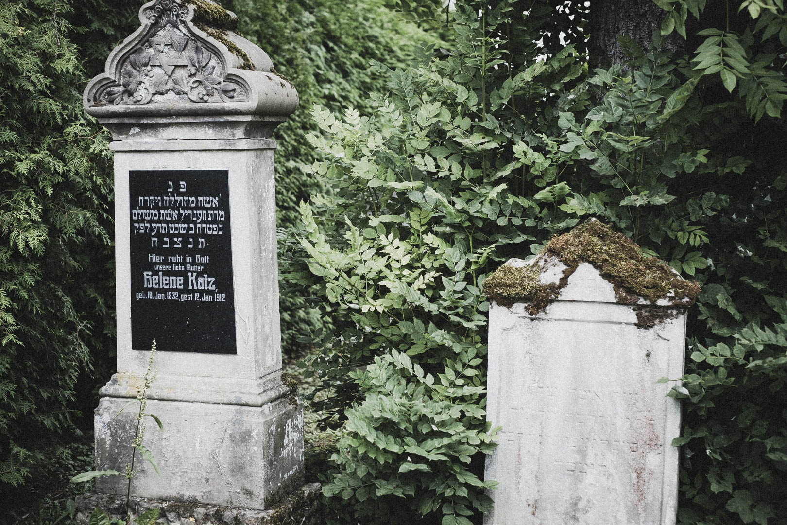 Barntrup, Jüdischer Friedhof